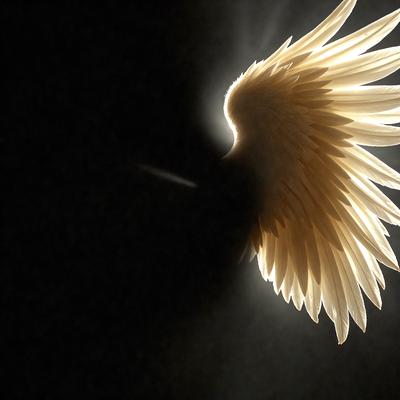 The primary subject of the image is a white angel wing. The setting is a dark background, which contrasts with the white wing. The visual style is a combination of photo and digital art, creating a unique and artistic representation of the angel wing. The dominant colors are white and black, giving the image a dramatic and powerful atmosphere.
